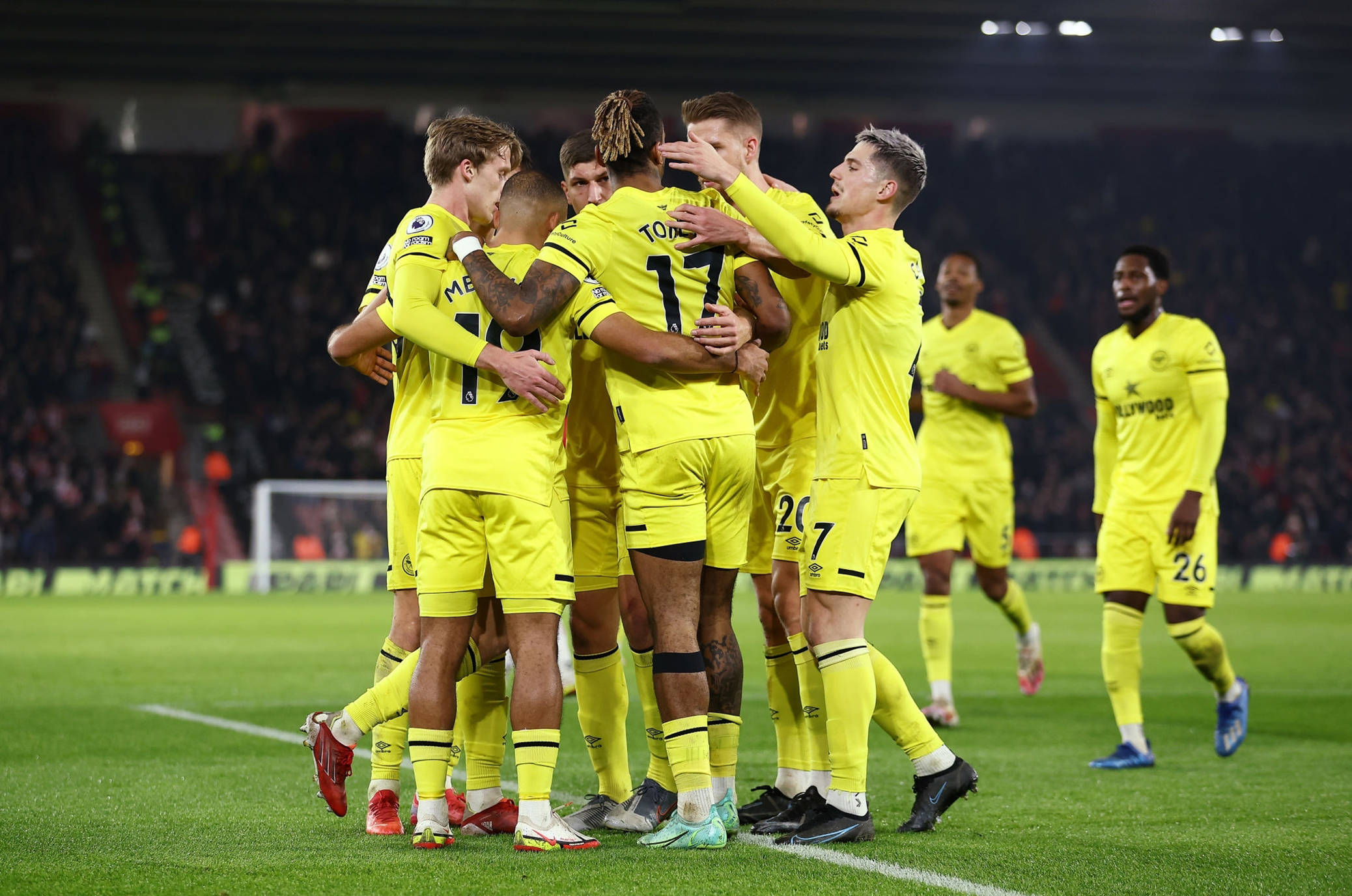 马在培养年 马在培养年