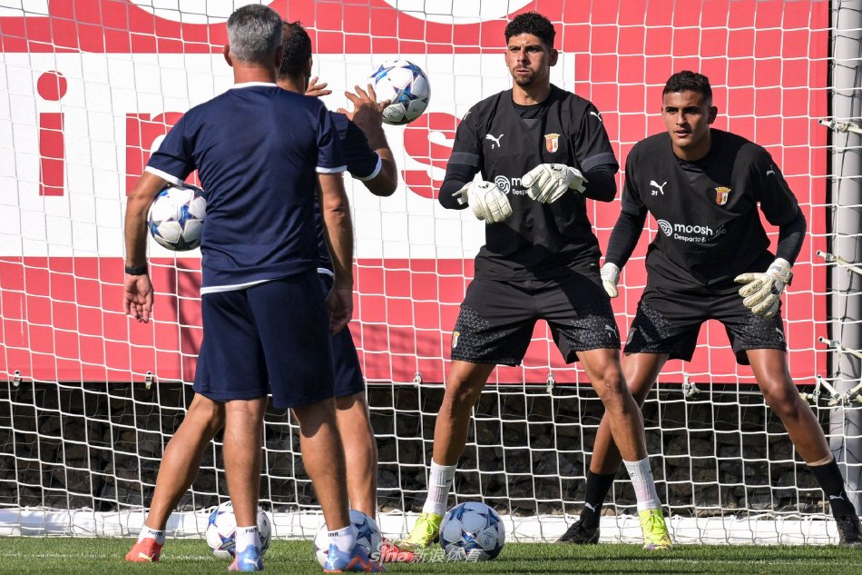 杂的情感和 杂的情感和